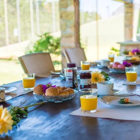 Ideal Mallorca - Moli Pollença