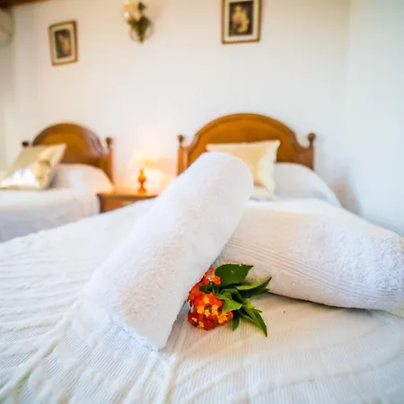 Séjour à la campagne Ideal Mallorca - Moli *