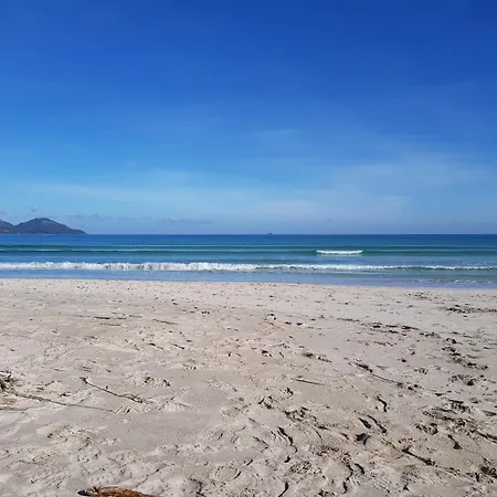 Séjour à la campagne Ideal Mallorca - Moli *