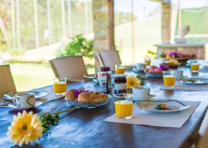 Ideal Mallorca - Moli Pollensa